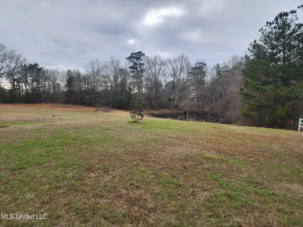 $440,000 | 26 Charlie Daughdrill Road, Carriere, MS 39426