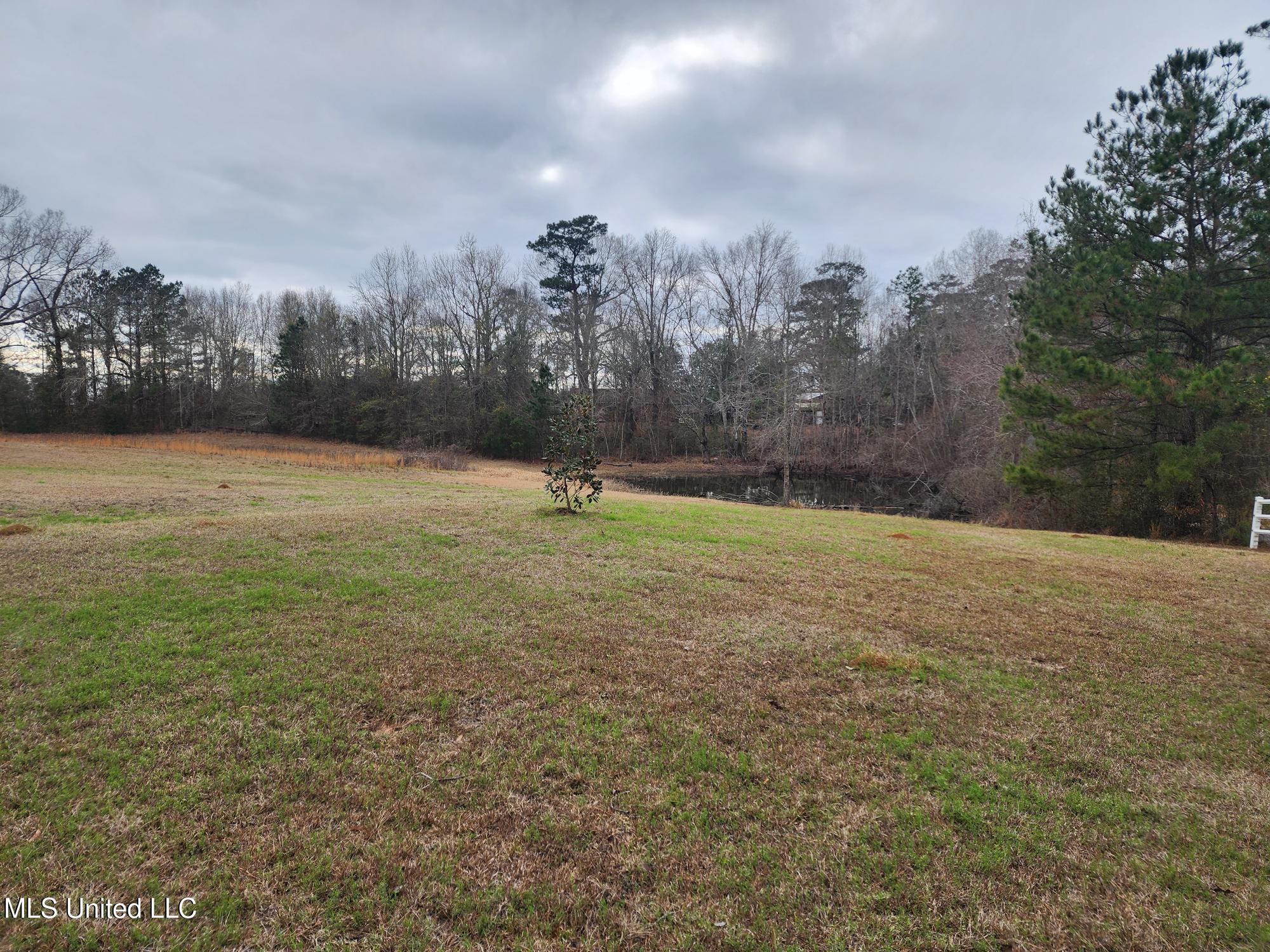 26 Charlie Daughdrill Road Carriere, MS 39426 - Photo 25 of 25 20260216_145147