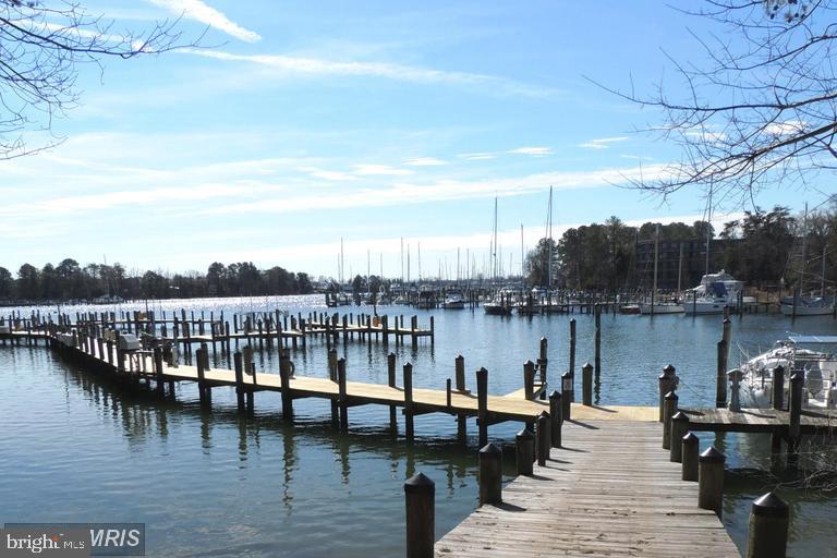 902 Spinnaker Way, Unit 902 Solomons, MD 20688 - Photo 10 of 18 Marina