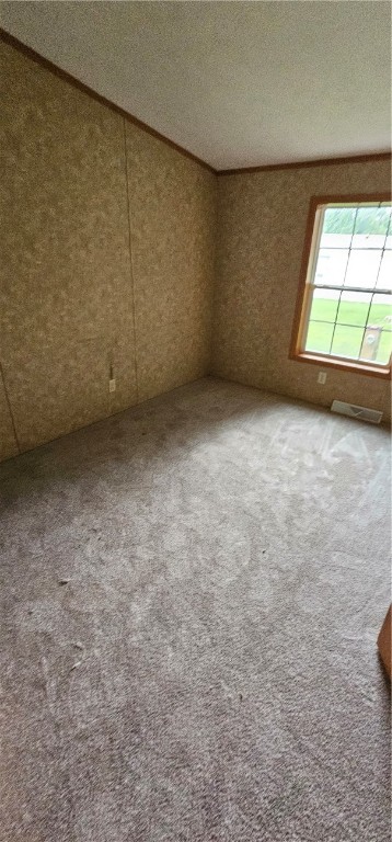 185 Spring Run Manchester, NY 14432 - Photo 18 of 32