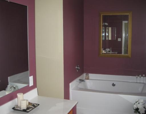 157 Riemer Road Sarver, PA 16055 - Photo 8 of 14 Master Bath/Spa.