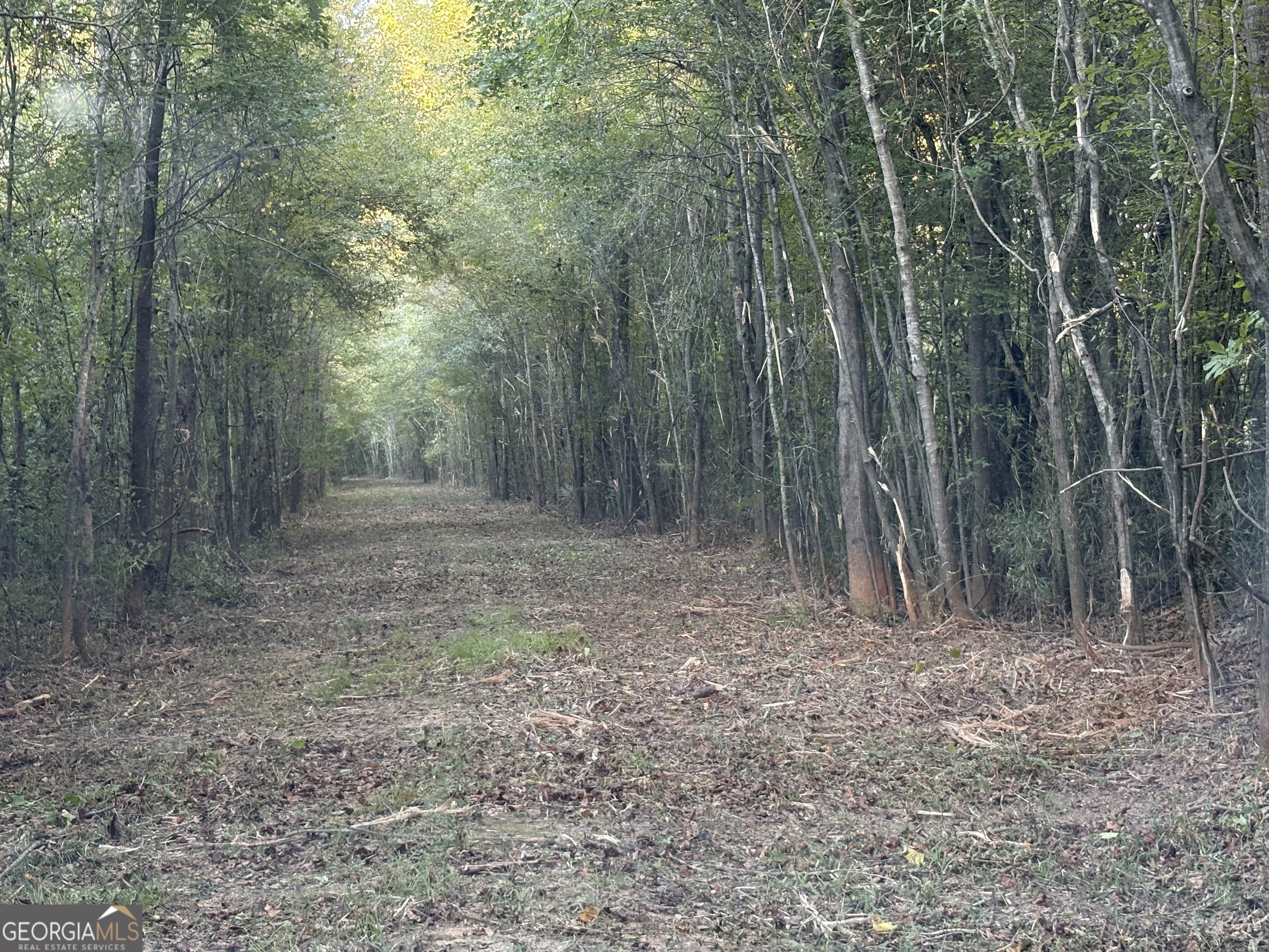 0 Sandy Creek Road Irwinton, GA 31042 - Photo 28 of 31