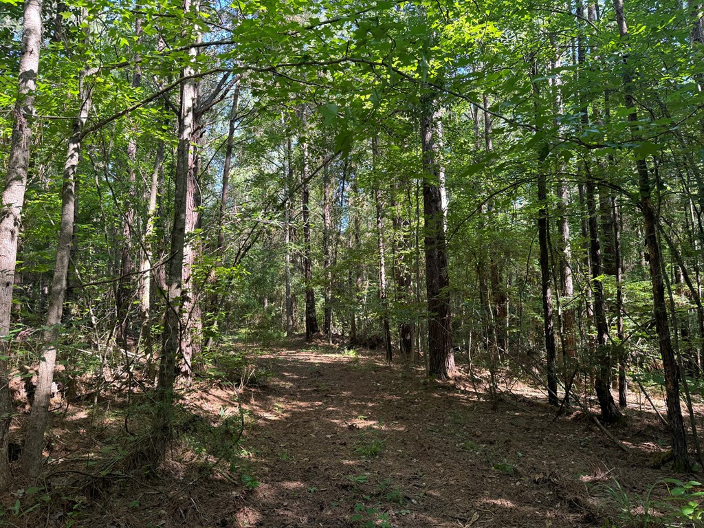 2831 Union Rd Se Brookhaven, MS 39601 - Photo 25 of 43 Photo 25