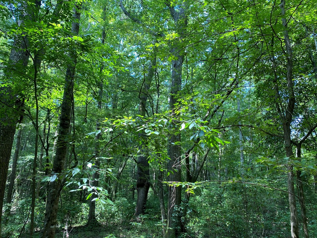 2831 Union Rd Se Brookhaven, MS 39601 - Photo 26 of 43 Photo 26