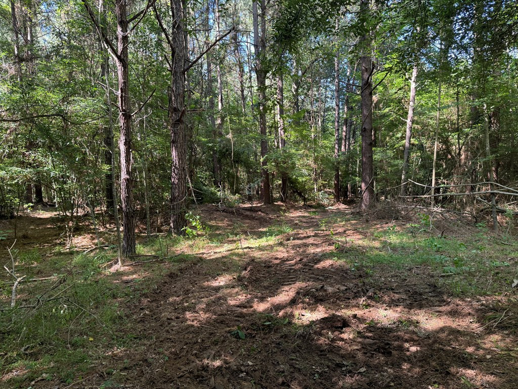 2831 Union Rd Se Brookhaven, MS 39601 - Photo 31 of 43 Photo 31