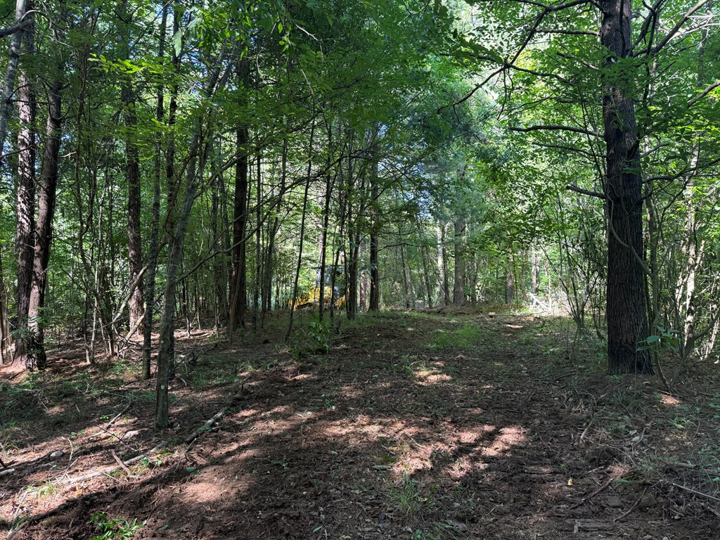 2831 Union Rd Se Brookhaven, MS 39601 - Photo 40 of 43 Photo 40