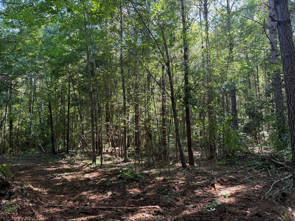 2831 Union Rd Se Brookhaven, MS 39601 - Photo 8 of 43 Photo 8