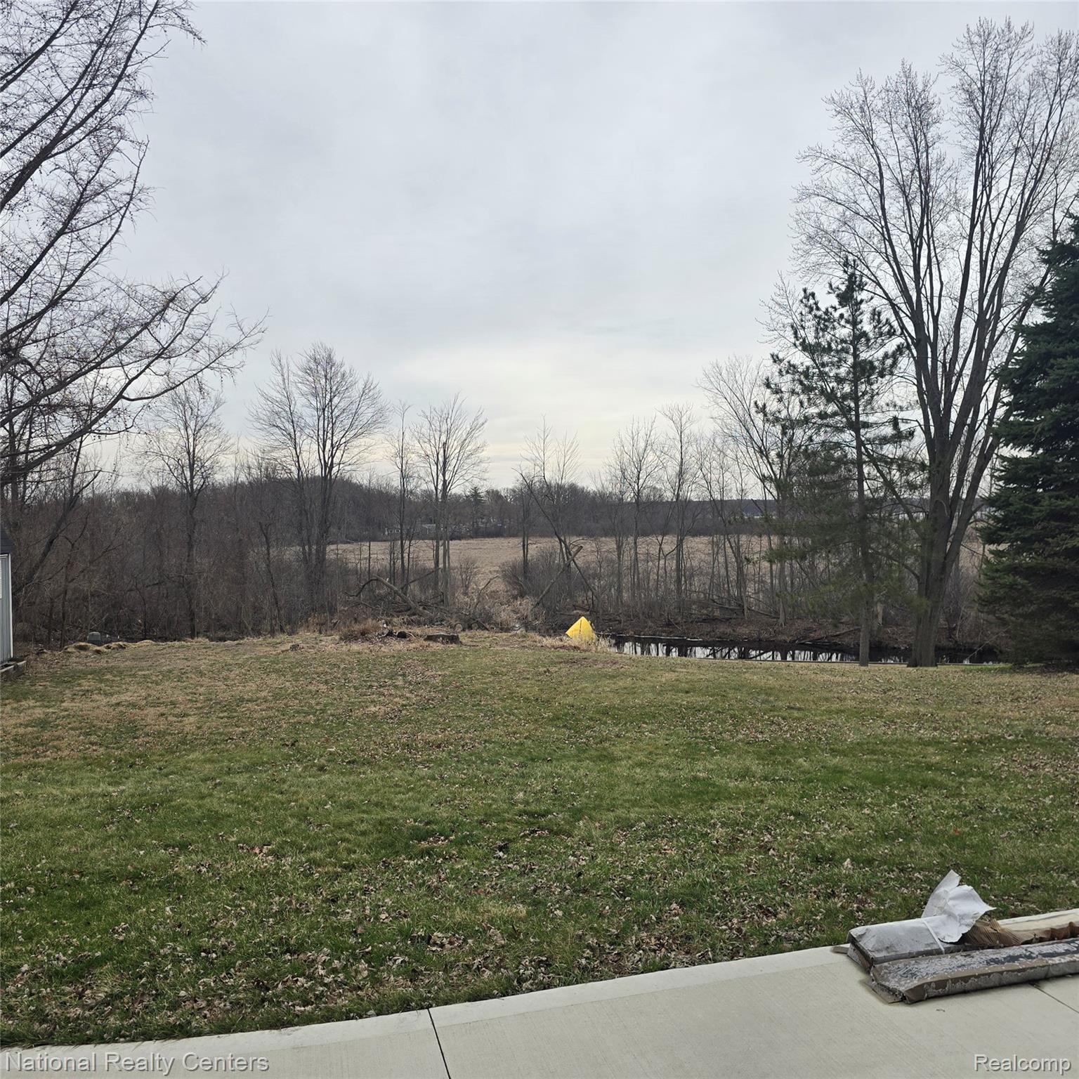 13477 South Horrell Road Fenton, MI 48430 - Photo 23 of 30 View of green lawn with a water view