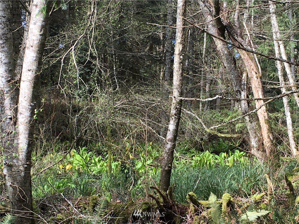 0 2 Lone Cow Road Orcas Island, WA 98245 - Photo 2 of 4 Gallery Image 2