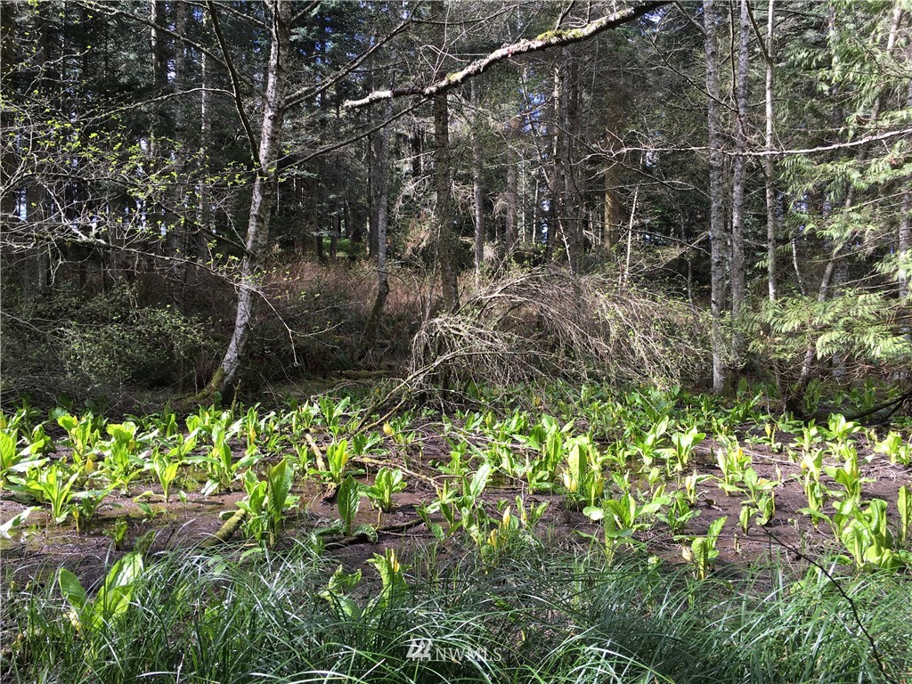 0 2 Lone Cow Road Orcas Island, WA 98245 - Photo 3 of 4 Gallery Image 3