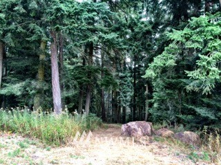 0 2 Lone Cow Road Orcas Island, WA 98245 - Photo 4 of 4 Gallery Image 4