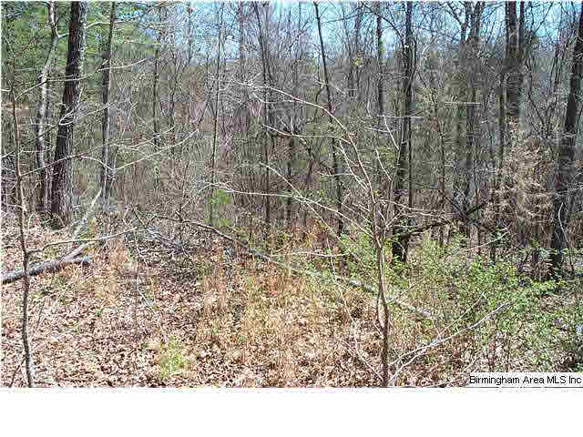 664 Mill Branch Road, Unit 17AC Jacksonville, AL 36265 - Photo 12 of 14
