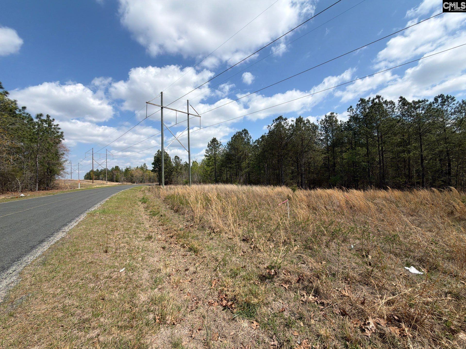 2 Mt Calvary Rd Ridge Spring, Unit CA 2 Ridge Spring, SC 29129 - Photo 1 of 29