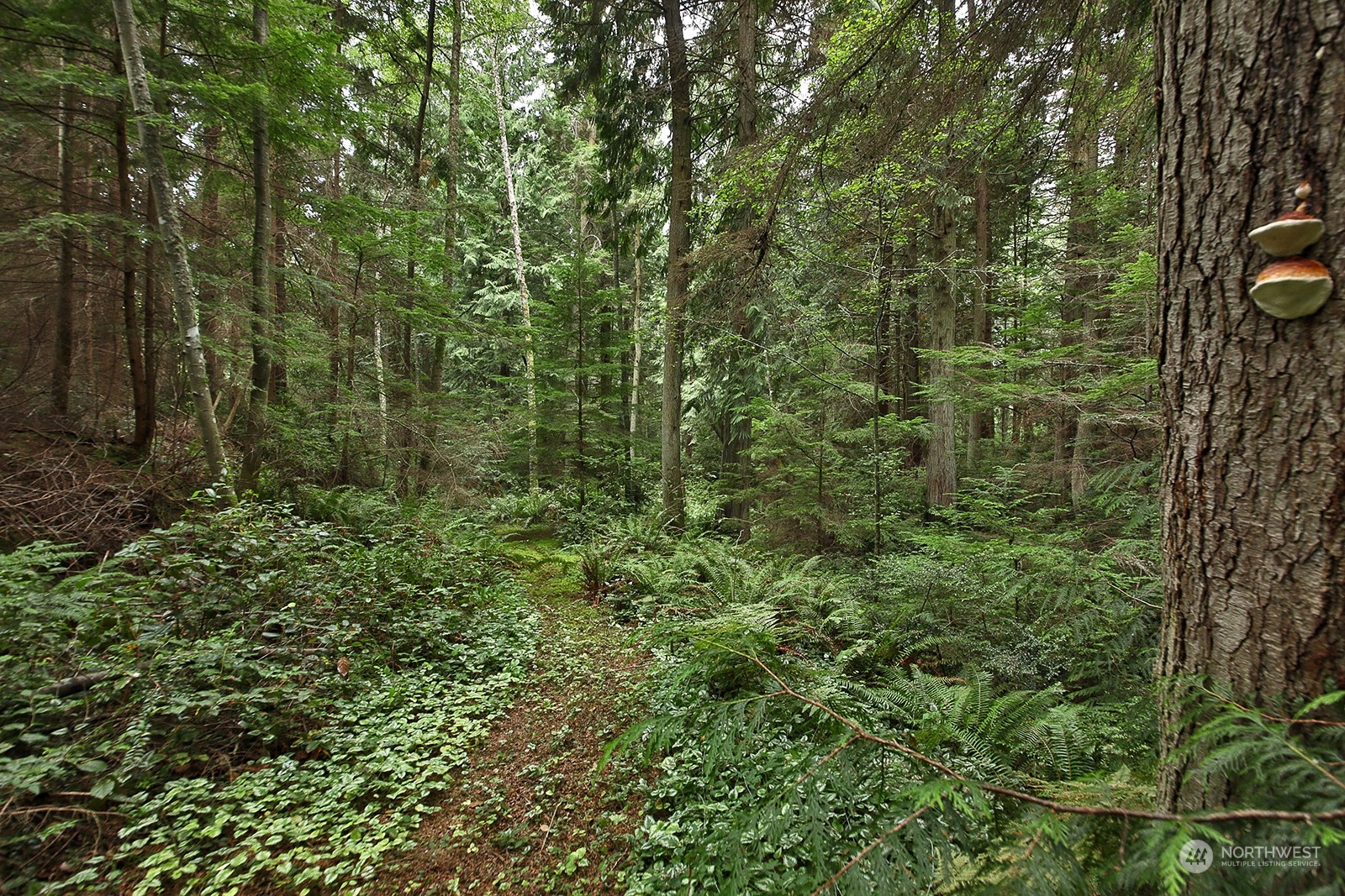 7394 Bailey Road Clinton, WA 98236 - Photo 13 of 40 Gallery Image 13