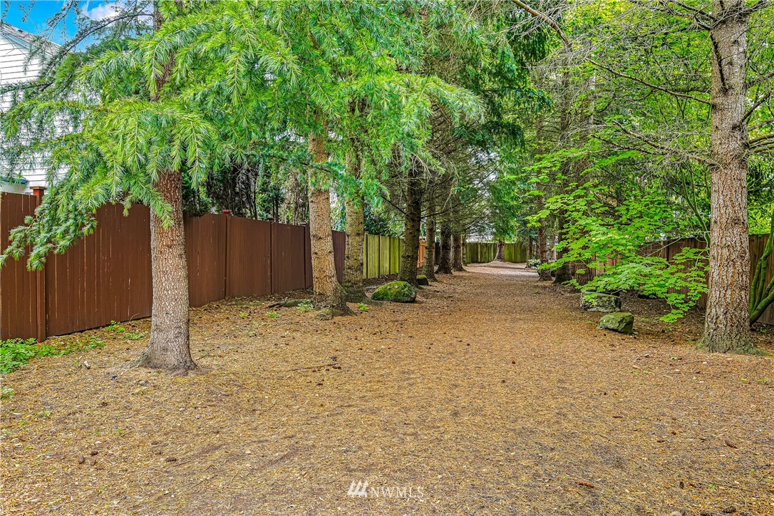18704 20th Avenue Southeast Bothell, WA 98012 - Photo 25 of 27 a backyard of a house with plants and tree