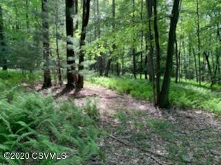 Hartman Hollow Road Benton, PA 17814 - Photo 5 of 7