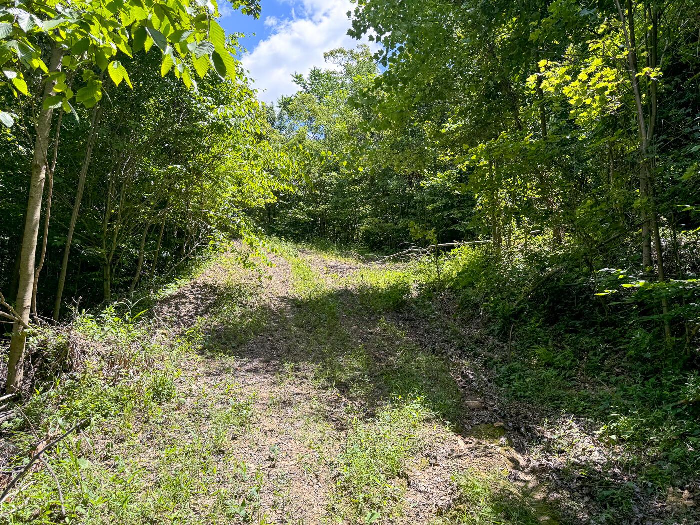 4313 Flint Ridge Road Northeast, Unit INT RIDGE TRACT 18 ACRE) Crooksville, OH 43731 - Photo 30 of 53 CT-30