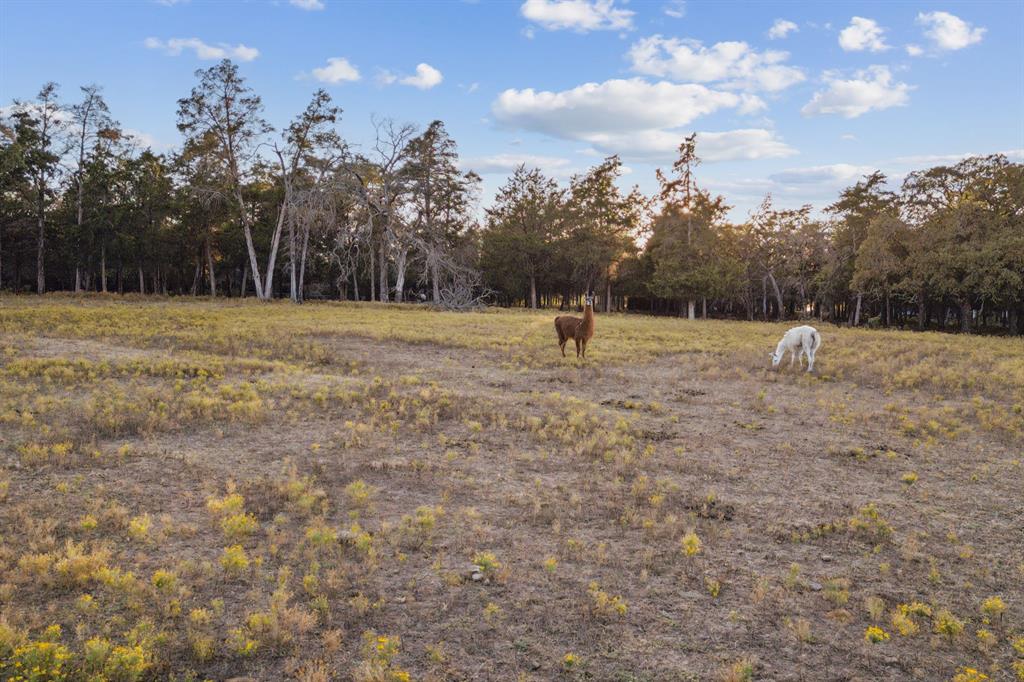 1900 Shady Oaks Drive Southlake, TX 76092 - Photo 40 of 40 a view of dirt field with trees in the background