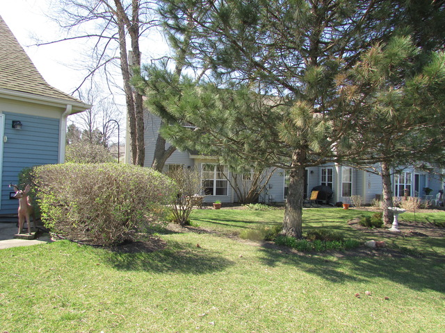 1100 Coldspring Road Elgin, IL 60120 - Photo 13 of 17