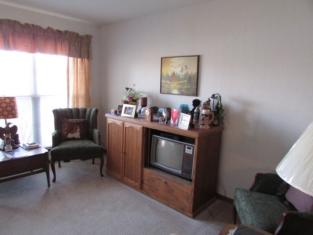 1100 Coldspring Road Elgin, IL 60120 - Photo 10 of 17