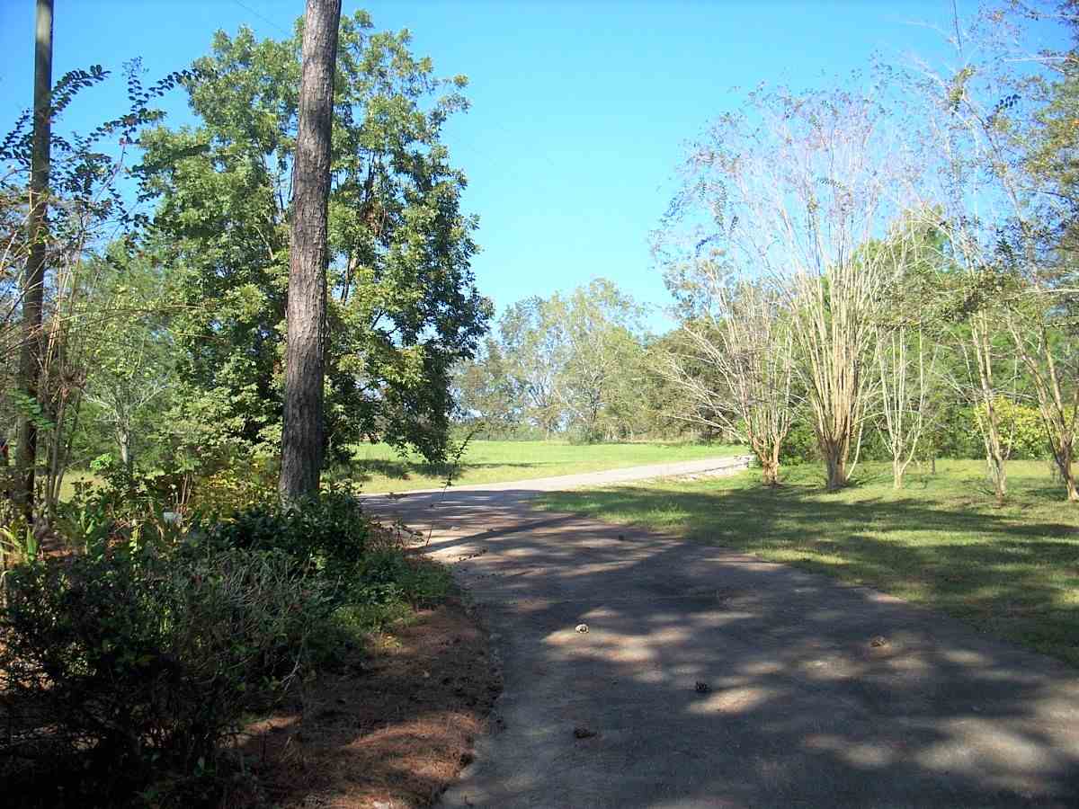 24553 Sutton Road Andalusia, AL 36421 - Photo 19 of 23 Gallery Image 19