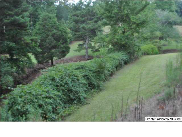8245 County Road 92 Heflin, AL 36264 - Photo 10 of 25