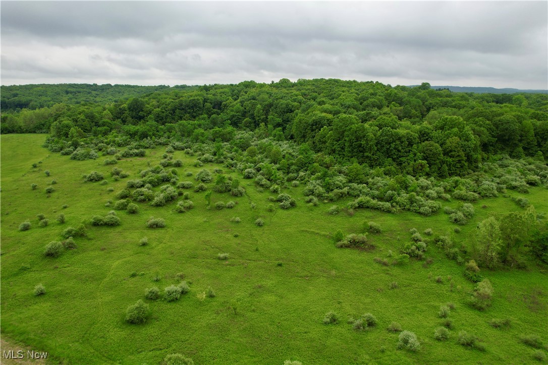 44312 Cream Ridge Road Lisbon, OH 44432 - Photo 4 of 4 Bird's eye view of a forest