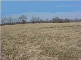 33 Hempridge Road Waddy, KY 40076 - Photo 1 of 1 Primary Photo