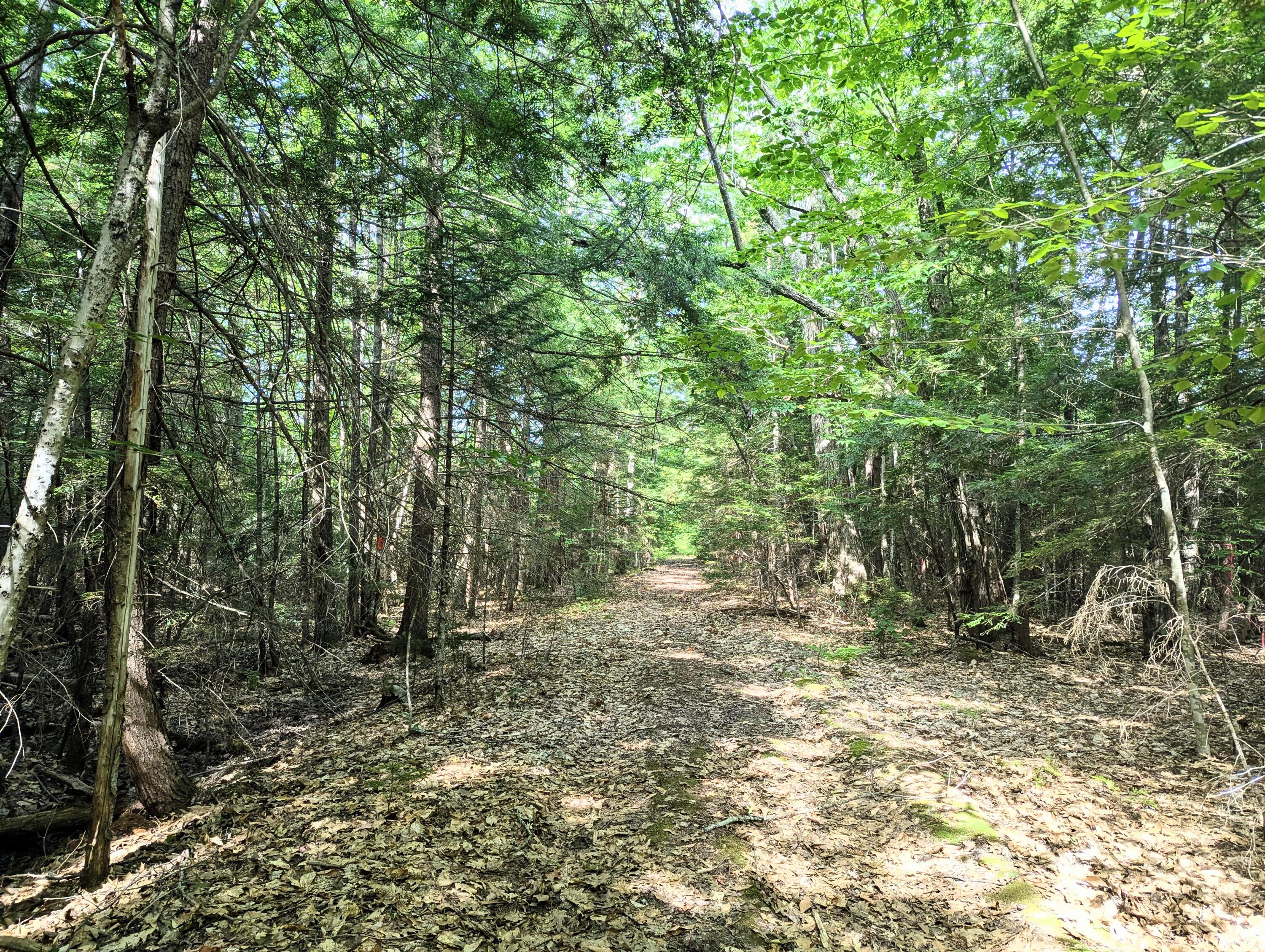 Lot 9 Maple Ridge Road Harrison, ME 04040 - Photo 2 of 7 roadway in front of lot 9A