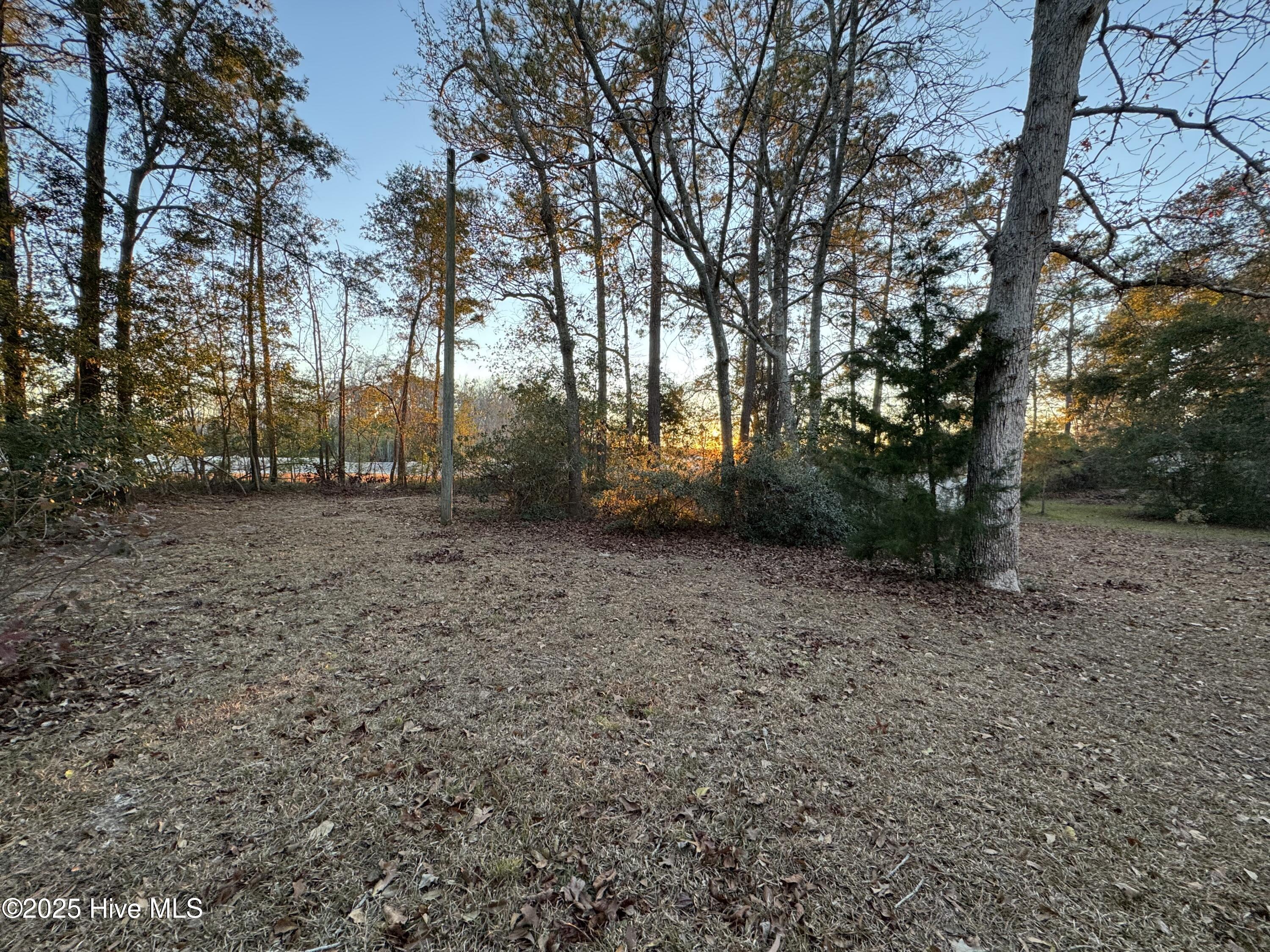 181 Maple Creek Road Southwest Supply, NC 28462 - Photo 29 of 30 IMG_6229