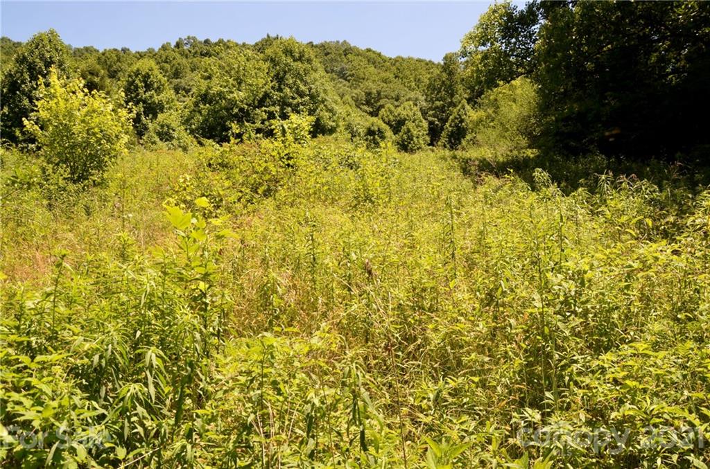 30 Brookshire Rd Number 2 Leicester, NC 28748 - Photo 36 of 41 Gallery Image 36