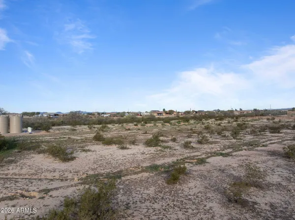 a view of a dry yard with trees in back