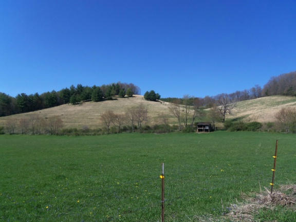 0 Burks Fork Road Southwest Willis, VA 24380 - Photo 11 of 29 Piron-10