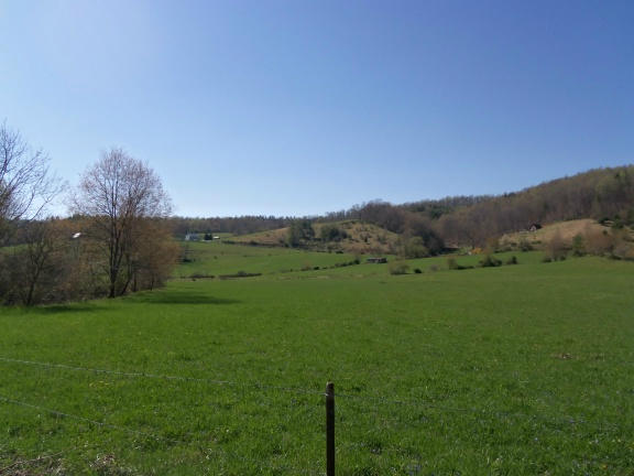 0 Burks Fork Road Southwest Willis, VA 24380 - Photo 12 of 29 Piron-11