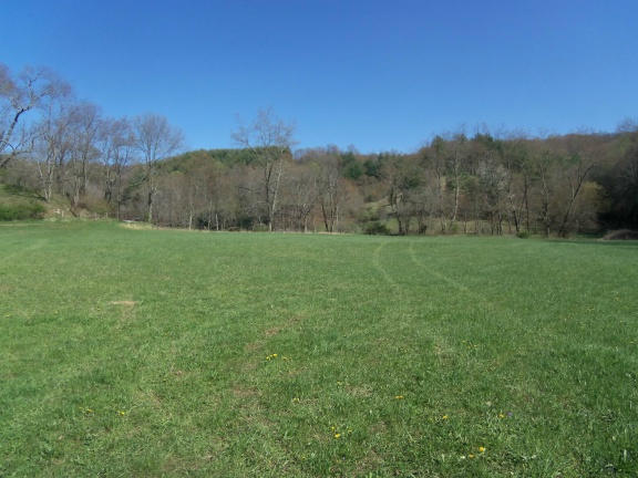 0 Burks Fork Road Southwest Willis, VA 24380 - Photo 13 of 29 Piron-12