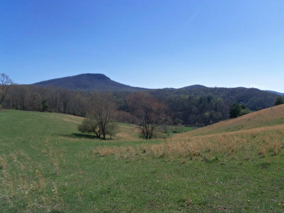 0 Burks Fork Road Southwest Willis, VA 24380 - Photo 14 of 29 Piron-13