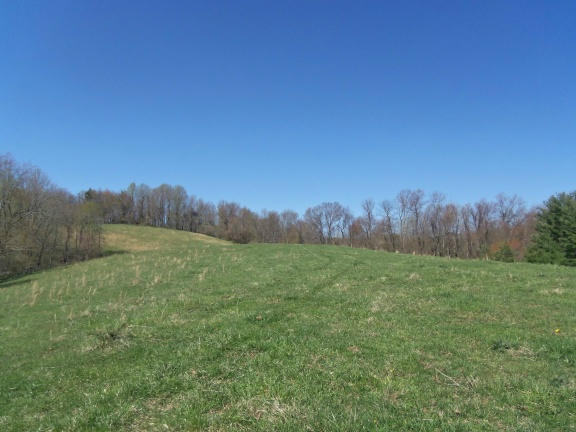 0 Burks Fork Road Southwest Willis, VA 24380 - Photo 15 of 29 Piron-14