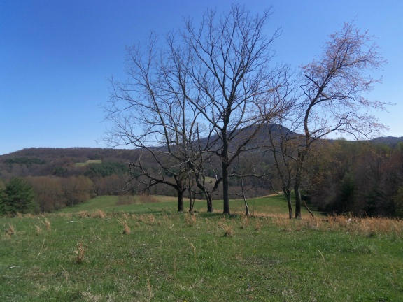 0 Burks Fork Road Southwest Willis, VA 24380 - Photo 16 of 29 Piron-15