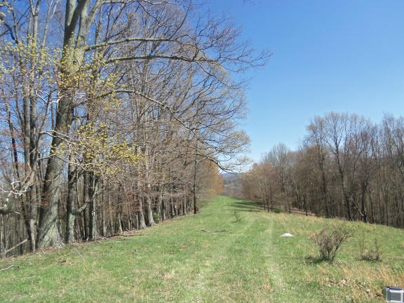 0 Burks Fork Road Southwest Willis, VA 24380 - Photo 19 of 29 Piron-18