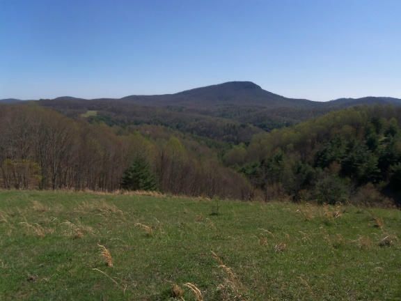 0 Burks Fork Road Southwest Willis, VA 24380 - Photo 20 of 29 Piron-19