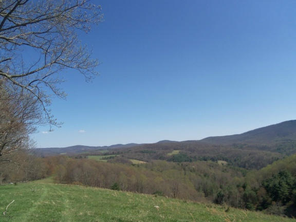 0 Burks Fork Road Southwest Willis, VA 24380 - Photo 21 of 29 Piron-20