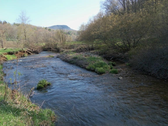 0 Burks Fork Road Southwest Willis, VA 24380 - Photo 26 of 29 Piron-S