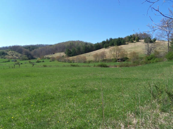 0 Burks Fork Road Southwest Willis, VA 24380 - Photo 9 of 29 Piron-8