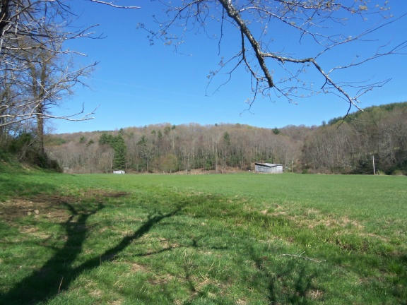 0 Burks Fork Road Southwest Willis, VA 24380 - Photo 10 of 29 Piron-9