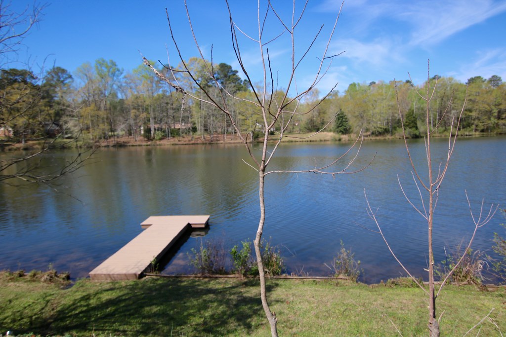 14205 Farmington Road Upatoi, GA 31829 - Photo 3 of 26 Gallery Image 3
