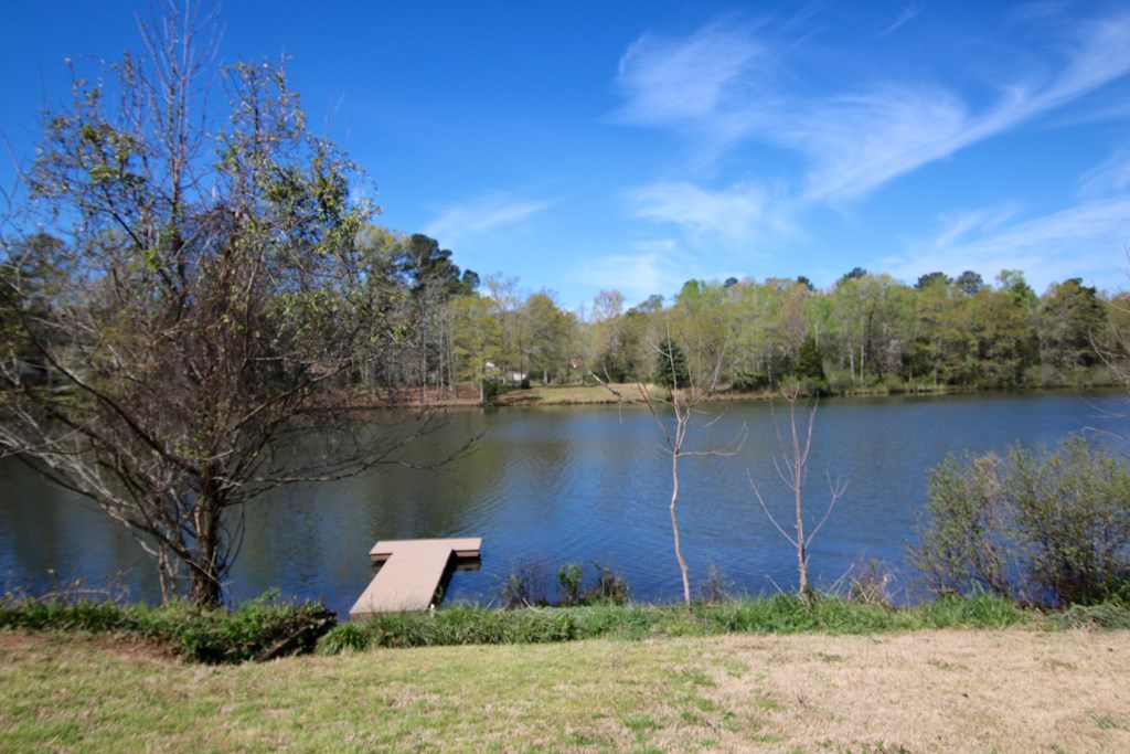 14205 Farmington Road Upatoi, GA 31829 - Photo 4 of 26 Gallery Image 4