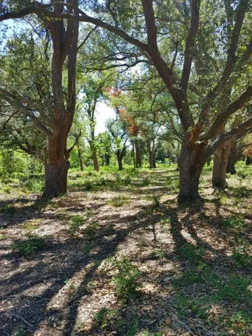 $67,500 | -tbd Bazile Daigle Road, Lake Charles, LA 70607