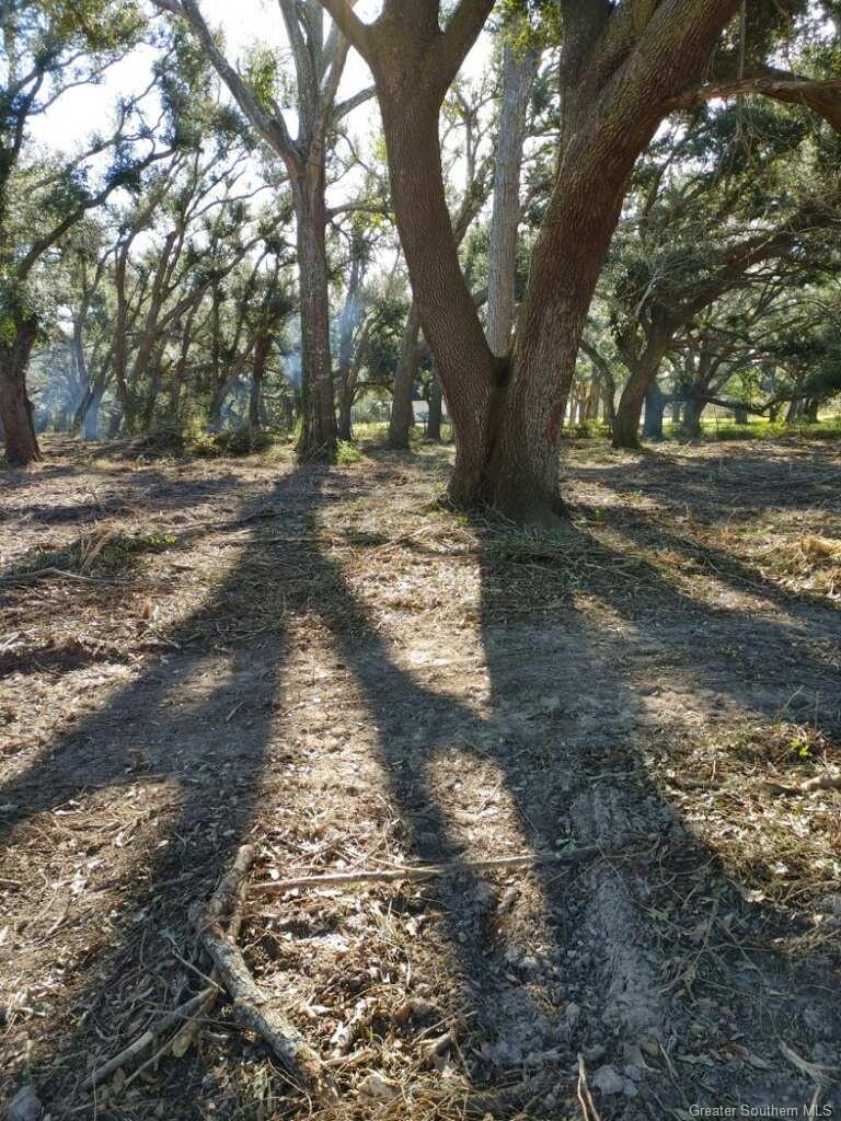 -tbd Bazile Daigle Road Lake Charles, LA 70607 - Photo 2 of 6