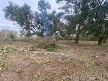 -tbd Bazile Daigle Road Lake Charles, LA 70607 - Photo 6 of 6