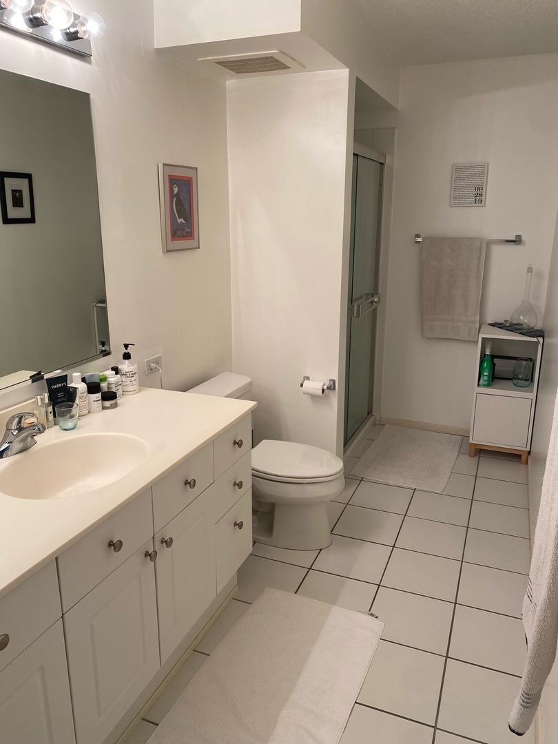 1720 Maple Avenue, Unit 2120 Evanston, IL 60201 - Photo 15 of 21 a bathroom with a sink a toilet and a mirror